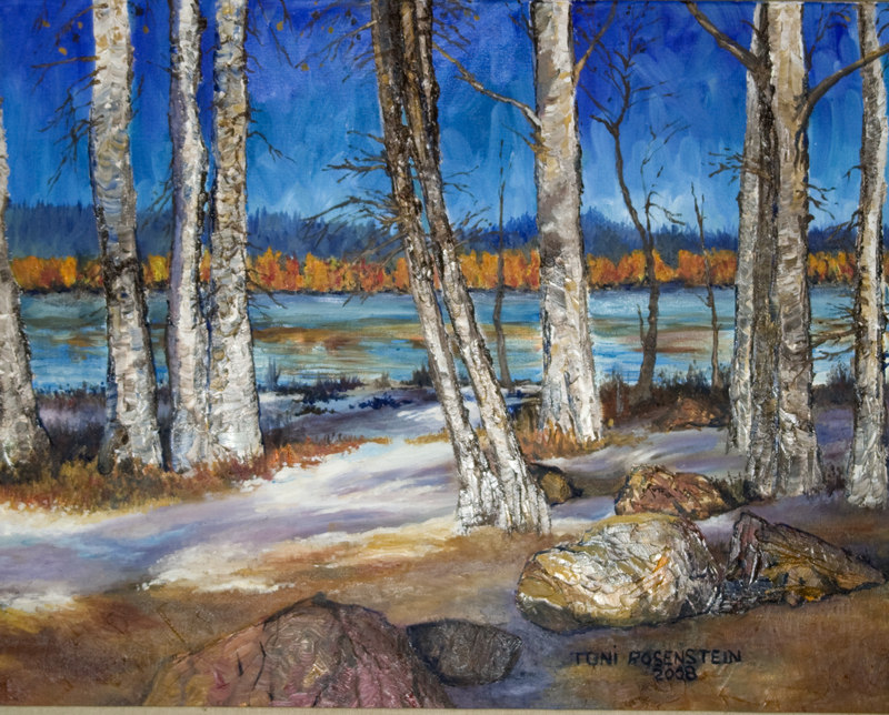 Shillapoo Wlidlife Reserve 2