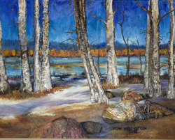 Shillapoo Wildlife 2